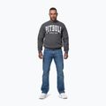 Pánska mikina Pitbull Norton Crewneck graphite 2