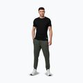 Pánske nohavice Pitbull Sampson Track Pants old green 2