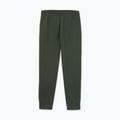 Pánske nohavice Pitbull Sampson Track Pants old green 5
