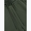 Pánske nohavice Pitbull Sampson Track Pants old green 6
