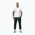Pánske nohavice Pitbull Trackpants Tape Logo Terry Group bottle green 2