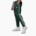 Pánske nohavice Pitbull Trackpants Tape Logo Terry Group bottle green 5