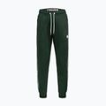 Pánske nohavice Pitbull Trackpants Tape Logo Terry Group bottle green 6