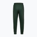 Pánske nohavice Pitbull Trackpants Tape Logo Terry Group bottle green 7