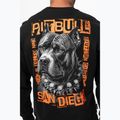 Pánska mikina Pitbull Crewneck Blacky black 4