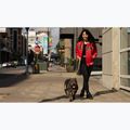 Dámska bunda Pitbull Angela San Diego Hooded Varsity fluo/red 17