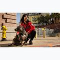 Dámska bunda Pitbull Angela San Diego Hooded Varsity fluo/red 19