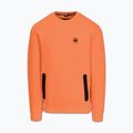 Pánska mikina Pitbull Dogwood Crewneck Sweatshirt fluo orange 4