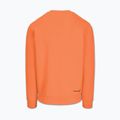 Pánska mikina Pitbull Dogwood Crewneck Sweatshirt fluo orange 5