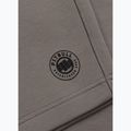 Pánske šortky Pitbull Dogwood Sport taupe 10