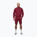 Pánska mikina Pitbull Sampson Crewneck Sweatshirt burgundy 2