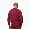 Pánska mikina Pitbull Sampson Crewneck Sweatshirt burgundy 3