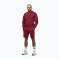 Pánska mikina Pitbull Sampson Crewneck Sweatshirt burgundy 4