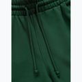 Pánske nohavice Pitbull Badger Track hunter green 6