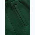 Pánske nohavice Pitbull Badger Track hunter green 8
