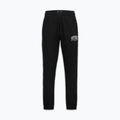 Pánske nohavice Pitbull Badger Track black 4