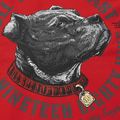 Pánska mikina Pitbull Strenght & Respect Sweatshirt Hooded red 9