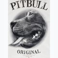 Pánska mikina Pitbull Midnight Sweatshirt Hooded off white 9