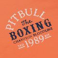Pánska mikina Pitbull Bloodline 2 Sweatshirt Hooded fluo orange 8