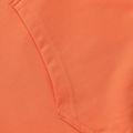 Pánska mikina Pitbull Bloodline 2 Sweatshirt Hooded fluo orange 12