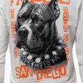 Pánska mikina Pitbull Blacky Sweatshirt Zip Hooded off white 4