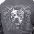 Pánska mikina Pitbull World Sweatshirt Zip Hooded graphite 5