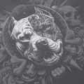 Pánska mikina Pitbull World Sweatshirt Zip Hooded graphite 11