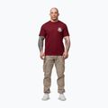 Pánske tričko Pitbull Dog SD burgundy 2