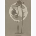 Pánske tričko Pitbull Palms light grey harbour 7