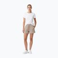 Dámske tričko Pitbull Discovery Logo off white 2