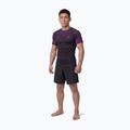 Pánsky rashguard Pitbull Belt Rashguard purple 2