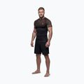 Pánsky rashguard Pitbull Belt Rashguard brown 2