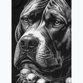 Pánsky rashguard s dlhým rukávom Pitbull Blacky Rashguard 8