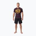 Pánske tričko Pitbull Rashguard Logo Palms brown 2