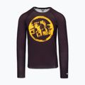 Pánsky rashguard s dlhým rukávom Pitbull Rashguard Logo Palms brown 3