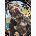 Dámske tričko Pitbull Beach Girl black 11