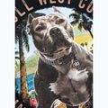 Pánske tričko Pitbull Beach Boy black 11