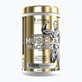 Predtréningový doplnok Fitness Authority Levrone Gold Maryland Muscle Machine 385 g fruit punch