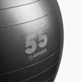 Gipara fitness lopta 55 cm sivá 3141 2