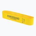 Súprava fitness pásiek FORCEBAND Mini Band 5 ks + E-BOOK multicolor 3