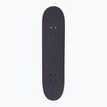 Fish Skateboards Beginner Superior 8,0" klasický skateboard 2