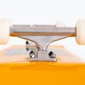 Fish Skateboards Beginner Superior 8,0" klasický skateboard 5