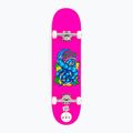 Fish Skateboards Skateboard pre začiatočníkov Erie 8,0" 3