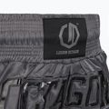 Tréningové šortky Octagon Kickboxing/Muay Thai Legion Future Premium black/grey 5