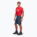 Pánske trekingové šortky Alpinus Ferrera navy blue 2