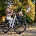 Ecobike LX300 Greenway elektrický bicykel biely 1010306 23