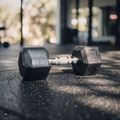 Pogumovaná činka XTREXO Hex HXD100 10 kg 12