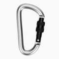 Salewa D-Shape Carbiner so skrutkou šedá 00-0000034102 2