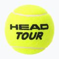 Tenisové loptičky HEAD Tour 4 ks. 2