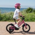 Detský bicykel ATTABO KNACK 14" pink 12